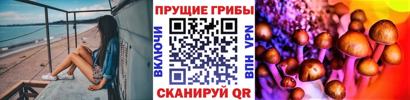 Псилоцибиновые грибы Psilocybine cubensis  Купить закладки  Краснокамск 